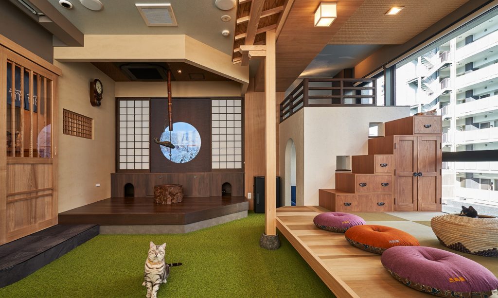 保護猫カフェ 猫宿町<br>(OMACHIビル)